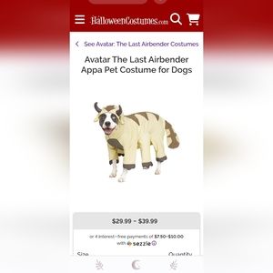 Appa ATLA Dog Costume